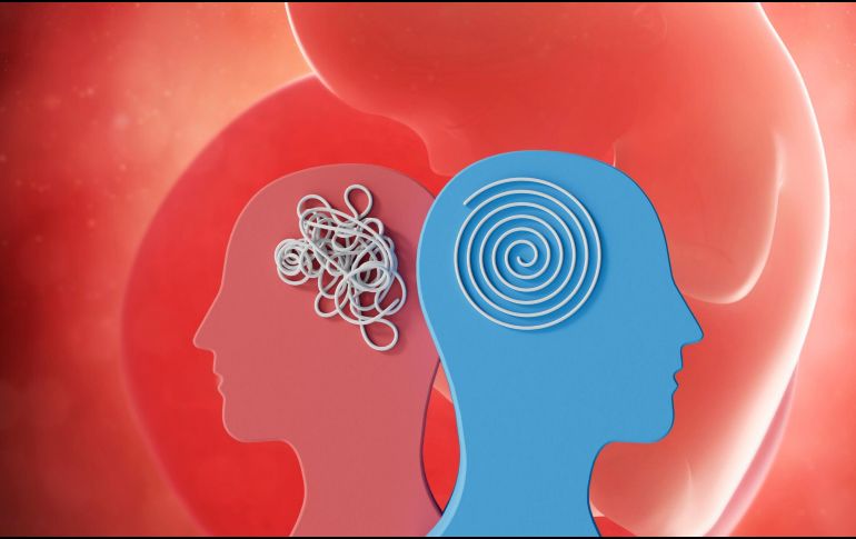 El descubrimiento de que el riesgo genético puede deberse a la metilación del ADN de la placenta abre nuevos caminos para la prevención y el tratamiento de trastornos psiquiátricos. ESPECIAL / CANVA