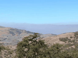 La alerta se mantendrá activa hasta que el incendio se apague en su totalidad. ESPECIAL
