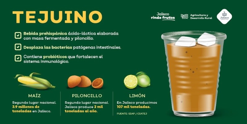  GOBIERNO DE JALISCO.