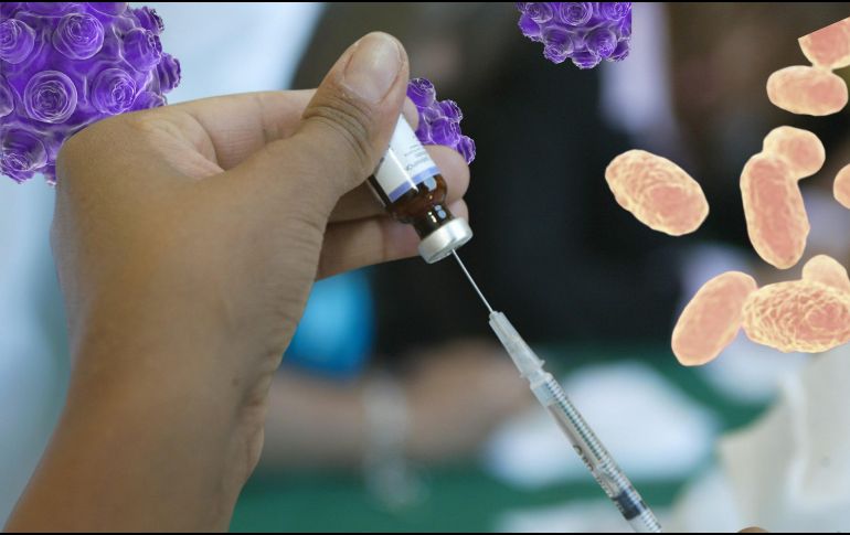 Piden a los miembros de las poblaciones en riesgo vacunarse. EL INFORMADOR / ARCHIVO