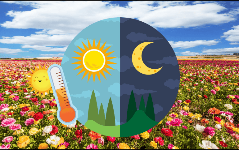 En México, el equinoccio de primavera es una fecha de gran relevancia cultural y turística. Miles de personas acuden a zonas arqueológicas como Teotihuacán, Chichén Itzá y Monte Albán para recibir la primavera, participar en rituales ancestrales y cargarse de energía. CANVA