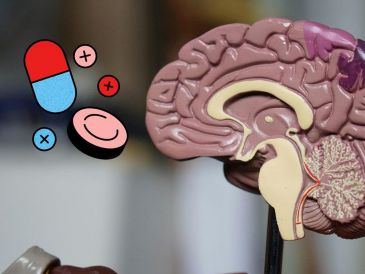 5 efectos positivos que ofrece el magnesio. UNSPLASH / R. WEERMEIJER