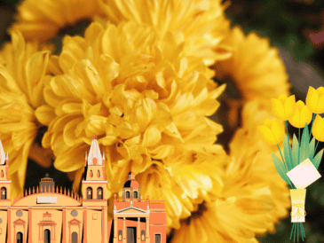 Las mejores florerias en Guadalajara para regalar. UNSPLASH/  A. Nguyen