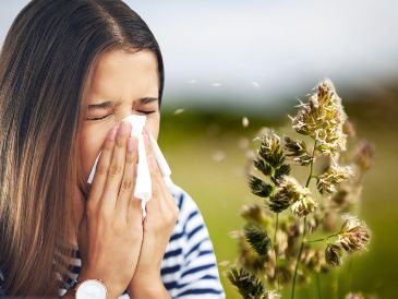 A medida que los árboles y plantas comienzan a florecer, los paisajes se llenan de color y vida, pero este periodo también viene acompañado de un aumento en los casos de alergias entre la población. ESPECIAL / CANVA