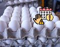 Esto es lo que debes saber acerca de la caducidad de los huevos. EL INFORMADOR / ARCHIVO