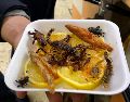 En la Conferencia Gastronómica 2025 abrieron la posibilidad de acercarse a los insectos como comida del futuro. NTX / ARCHIVO