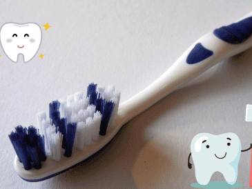 Manten saludable tus dientes con estos cepillos. ESPECIAL / Pixabay @succo