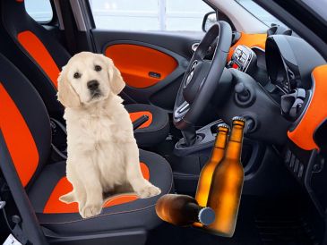 Los objetos que sobresalen del vehículo representan una amenaza significativa para la seguridad vial, no solo para el conductor, sino también para otros usuarios de la carretera. 
 CANVA