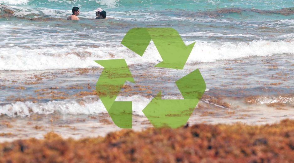 Buscan utilizar el sargazo acumulado en playas. SUN / ARCHIVO
