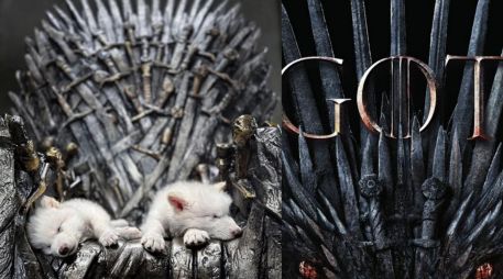 Colossal ha trabajado también en la clonación de lobos rojos (considerados los más amenazados del planeta) a partir de sangre obtenida de ejemplares silvestres del sureste de Estados Unidos. ESPECIAL/Colossal Biosciences