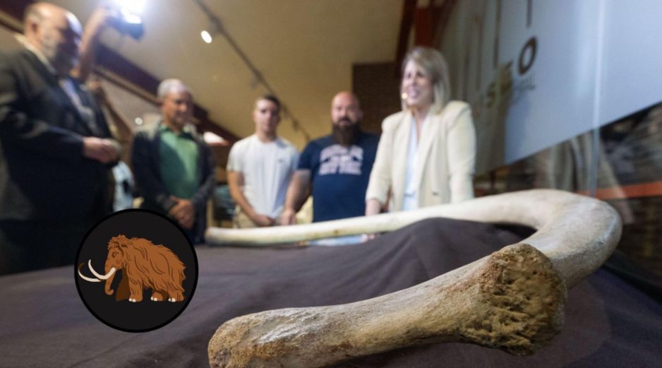 Una asociación avisó e descubrimiento de una costilla completa de 1,40 metros, que se cree que podría ser de un mamut de unas 8 toneladas de peso. EFE/ M. Guillén
