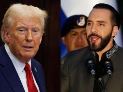 Trump recibirá a Bukele en la Casa Blanca. EFE / ARCHIVO