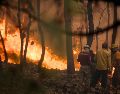 México sufre dos temporadas de incendios forestales al año, con la primera entre enero y junio para las zonas centro, norte, noreste, sur y sureste del país. EL INFORMADOR / ARCHIVO
