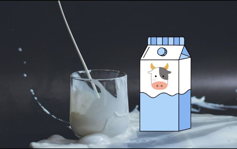 ¿Te gusta tomar leche? Aquí te decimos qué tan saludable es. UNSPLASH / A.  JANKOVIC