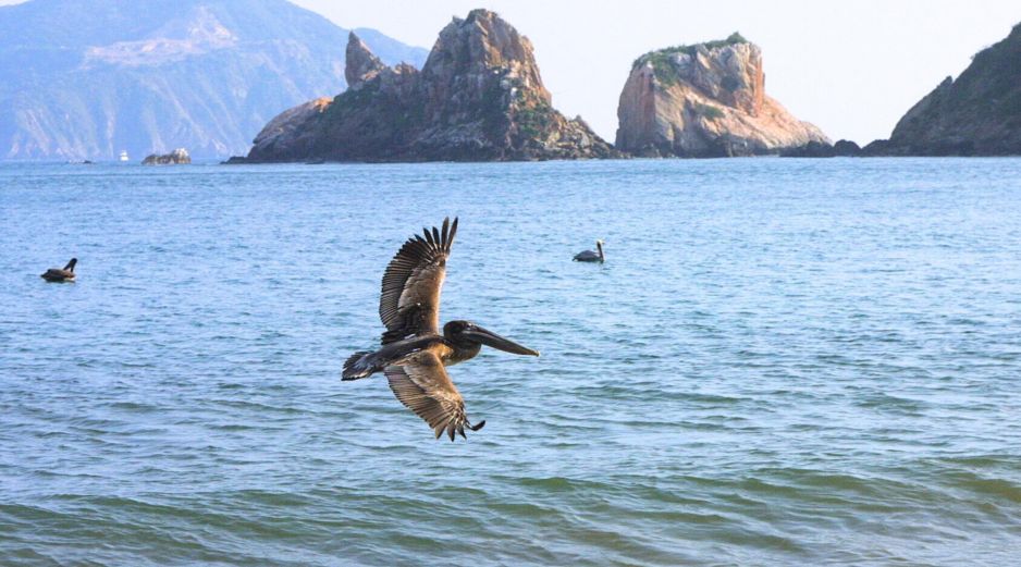 MELAQUE. Aprovecha y no te pierdas la oportunidad de salir de la ciudad para pasear, disfrutar los destinos de playa de Jalisco. EL INFORMADOR / ARCHIVO
