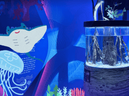 Tu entrada incluye recorrido en los cinco pabellones, interactivos digitales, Guía del Explorador, camas elásticas y laser tag. ESPECIAL/ INSTAGRAM/ acuariomichinguadalajara.