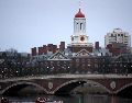 Harvard es la segunda institución blanca del Grupo de trabajo federal para combatir el antisemitismo. AP/ARCHIVO
