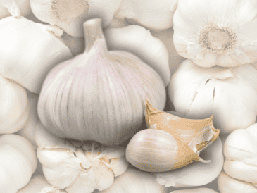 Para hacer más efectivo su consumo, se recomienda la ingesta de ajo en ayunas. ESPECIAL / CANVA