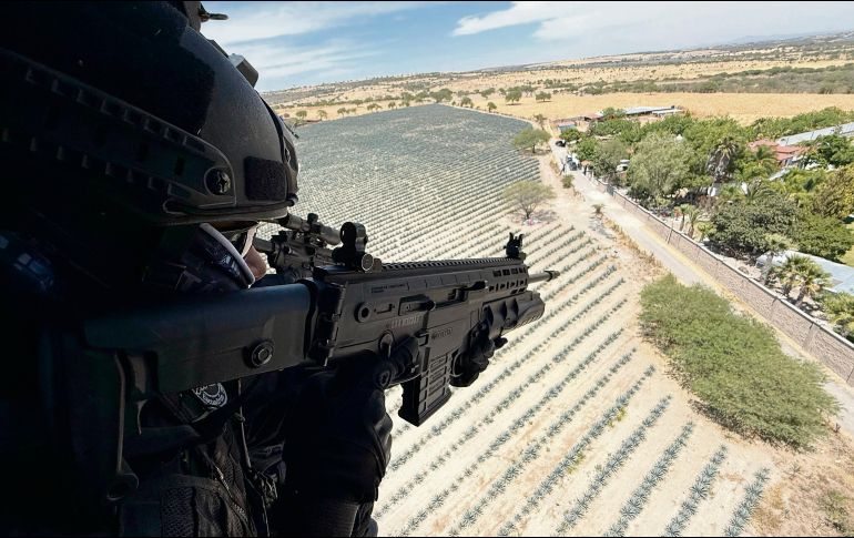 Elementos del grupo aerotáctico estatal asisten desde el helicóptero BlackHawk a sus compañeros en tierra durante el aseguramiento de otro rancho que era usado por la delincuencia organizada en el municipio de Teocaltiche. ESPECIAL