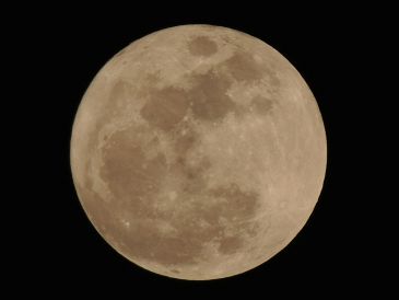 Descubre cuándo se podrá observar la Luna de Flores en México. UNSPLASH / J. ALDRICH