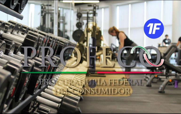 Seis personas se han acercado para solicitar información o presentar quejas formales contra la aplicación a través de la Odeco. ESPECIAL / UNSPLASH Danielle Cerullo