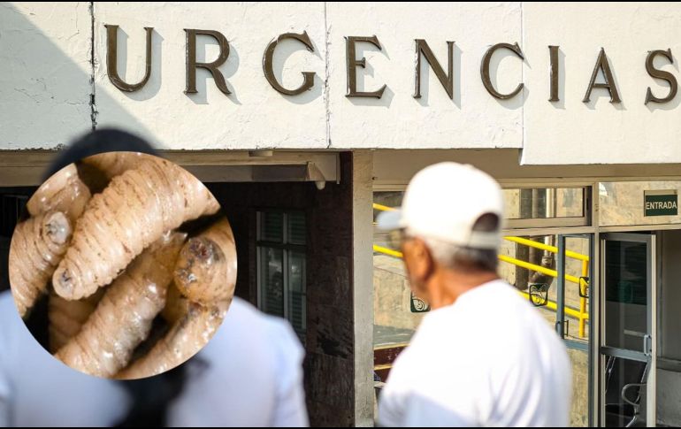 El hombre comenzó a mostrar síntomas, como enrojecimiento, dolor intenso, fiebre y presencia de larvas, después de haber sido mordido por un perro. EL INFRMADOR / SUN /ARCHIVO