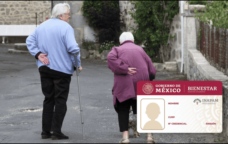 La tarjeta INAPAM ofrece diferentes opciones de lugares con promociones para llevar a mamá. Pixabay/ESPECIAL