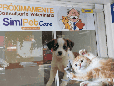 Una de las razones por las que esta iniciativa despierta tanto interés es que Farmacias Similares ya cuenta con amplia experiencia en la operación de consultorios médicos anexos a sus establecimientos. ESPECIAL/ Pixabay.