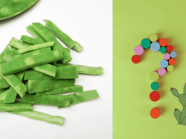 La baba del nopal no solo tiene un valor nutricional considerable, sino que también se perfila como un recurso útil en áreas como la cosmética, la farmacéutica y la construcción. CANVA