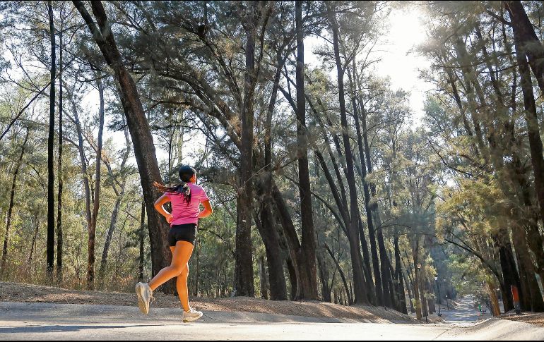 Correr por Los Colomos es una forma de mantenerse sano y conectar con la naturaleza. EL INFORMADOR/ H. Figueroa