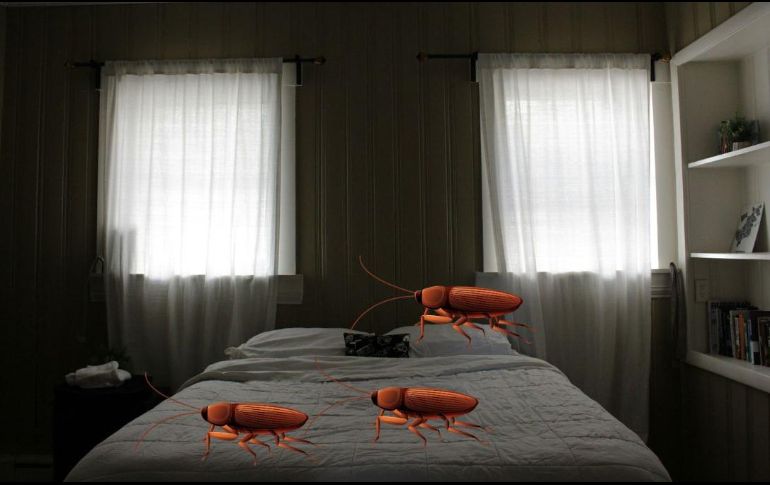 Aquí te compartimos un plan para eliminarlas paso a paso. UNSPLASH / RAYMOND T.