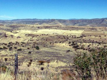 El acopio ilegal de unos 700 mil metros cúbicos de agua ocurrió en un rancho de un exgobernador del estado fronterizo con Texas, una zona muy seca y desde la que se hacen entregas de agua a EU como parte de un acuerdo bilateral. NTX / ARCHIVO