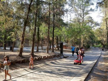 Invitan a la ciudadanía también a que acuda a los bosques urbanos de la metrópoli para pasar tiempo familiar, pero piden que no tiren basura en los parques. EL INFORMADOR / ARCHIVO