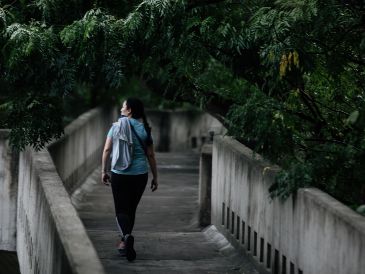 Los resultados de la investigación "muestran claramente que incluso una breve estancia en el bosque mejora el estado de ánimo". EL INFORMADOR / ARCHIVO