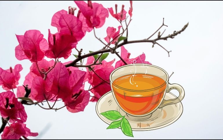 De acuerdo con Natural World, la bugambilia tiene 3 propiedades para calmar malestares respiratorios. UNSPLASH / A. Subba