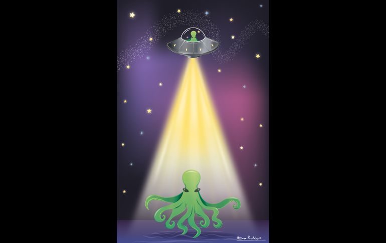 Los cefalópodos tienen una apariencia tan peculiar que despierta fantasías. CORTESÍA/Aranza Rodríguez