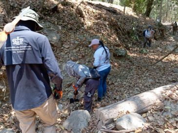 Como parte de los trabajos, el viernes 30 se repartieron cédulas de búsqueda de personas desaparecidas en la delegación Las Palmas. ESPECIAL