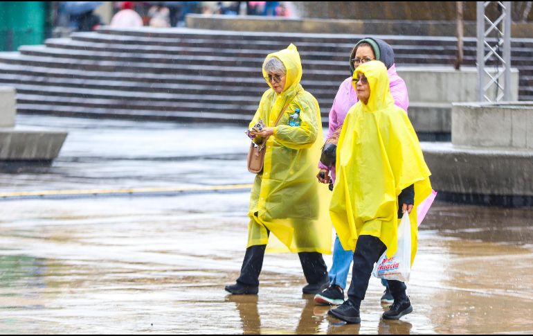 Lo ideal es considerar el entorno y las condiciones del clima para elegir el método de protección más conveniente. EL INFORMADOR/ ARCHIVO.
