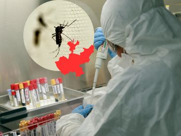 El secretario de Salud, David Kershenobich, dice que Jalisco encabeza la lista de casos de dengue en 2025, y es seguido por Veracruz, Michoacán, Guerrero y Tamaulipas. ESPECIAL / EL INFORMADOR y NTX