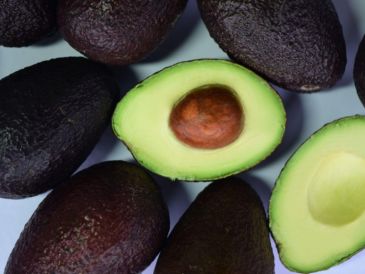 El aguacate es una fruta originaria de Mesoamérica, principalmente del centro de México y algunas zonas altas de Guatemala. Canva/ESPECIAL