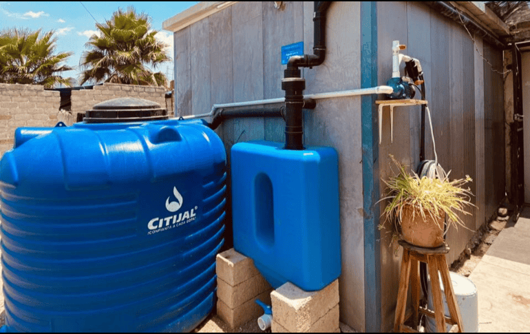 Estos son los pasos y requisitos para adquirir un Nido de Lluvia. X / @EnriqueAlfaroR