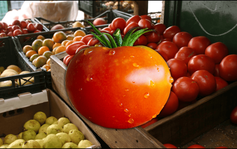 Los principales componentes del jitomate son el agua y los hidratos de carbono. También destaca su contenido de vitaminas A y C. EL INFORMADOR / ARCHIVO