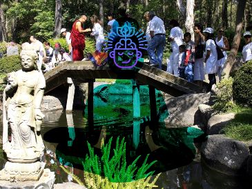 Conoce todos los beneficios que puedes obtener de rodearte de la naturaleza de manera constante. EL INFORMADOR / ARCHIVO