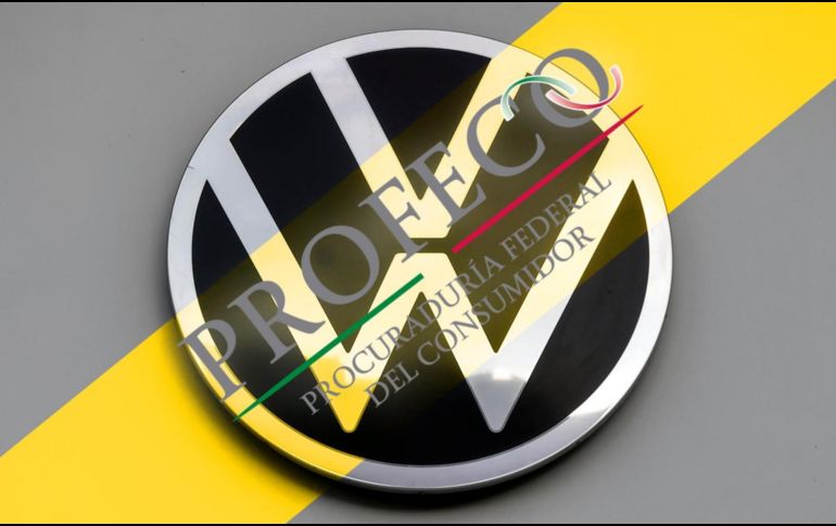 Volkswagen de México sustituirá los cinturones de seguridad de los vehículos involucrados. EFE / ARCHIVO