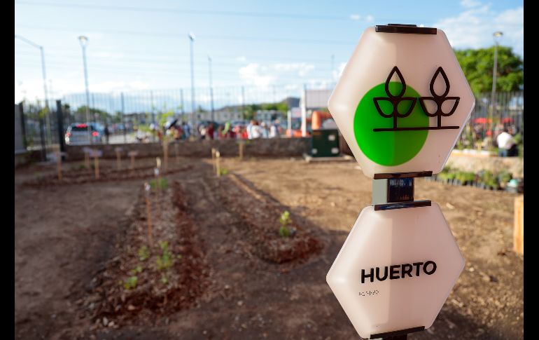 El Alcalde de Zapopan, Juan José Frangie, explicó que esta Colmena será la más grande de las cuatro que ya se tienen. EL INFORMADOR/ H. Figueroa.