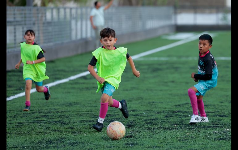 El Alcalde de Zapopan, Juan José Frangie, explicó que esta Colmena será la más grande de las cuatro que ya se tienen. EL INFORMADOR/ H. Figueroa.