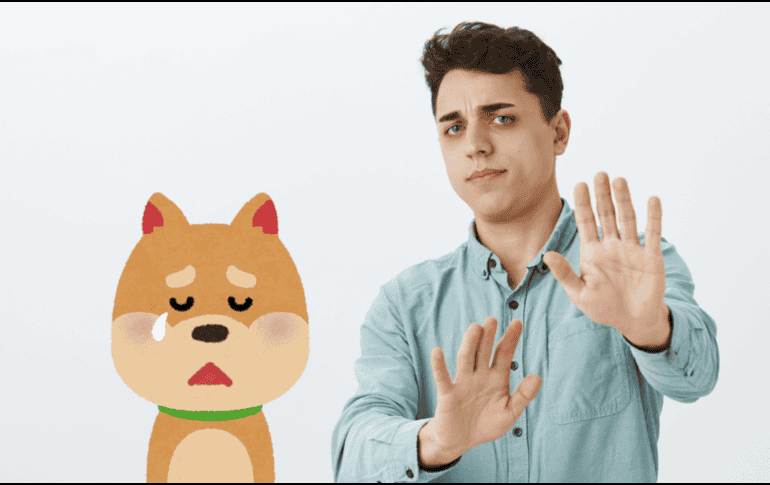 En la mayoría de los casos, el rechazo a los perros está motivado por causas comprensibles. FREEPIK / CANVA