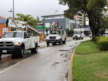 En cuanto a la red de transmisión, la CFE reportó daños en cinco líneas de 115 kilovoltios. EFE/DAVID GUZMÁN
