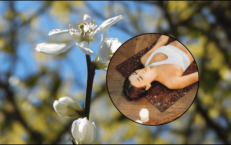 De acuerdo con un artículo de la Universidad Nacional Autónoma de México, su nombre proviene del árabe 