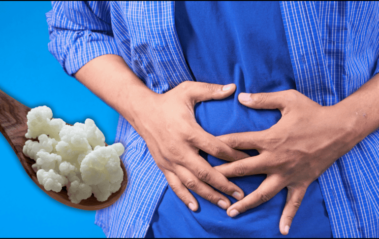 Los búlgaros de leche pueden ayudar a tratar y prevenir enfermedades gastrointestinales como el Síndrome del Intestino Irritable, entre otros. ESPECIAL / CANVA
